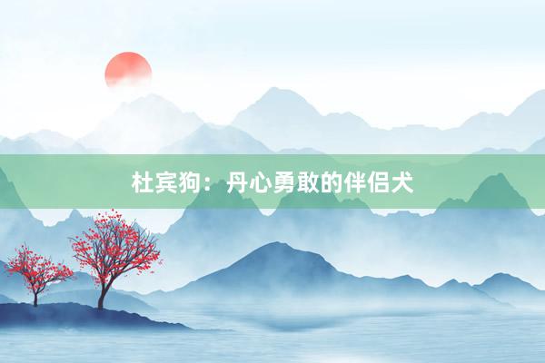 杜宾狗：丹心勇敢的伴侣犬