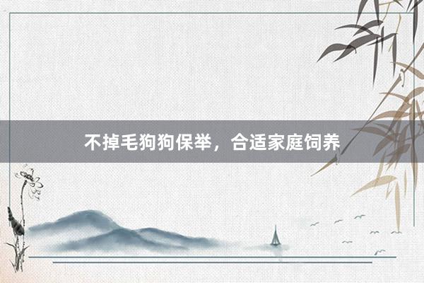 不掉毛狗狗保举，合适家庭饲养